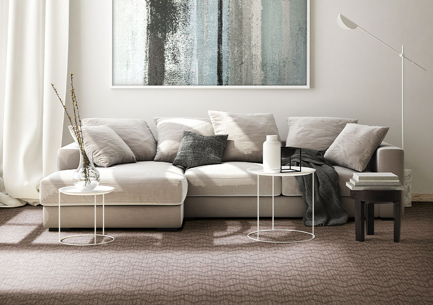 brown pattern carpet in cozy living room